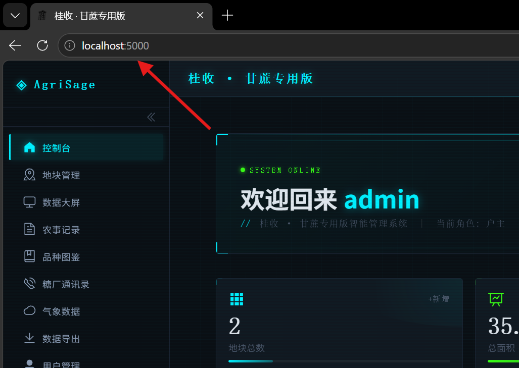 浏览器访问控制台